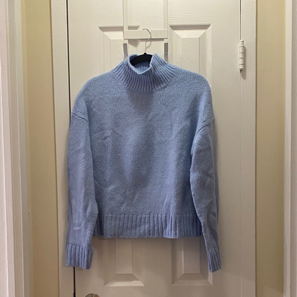 Everlane CloudSoft  Oversized Turtleneck Sweater